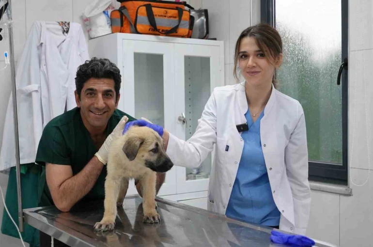 Ödüllü Hayvan Bakım Merkezi can dostlara umut oluyor 
