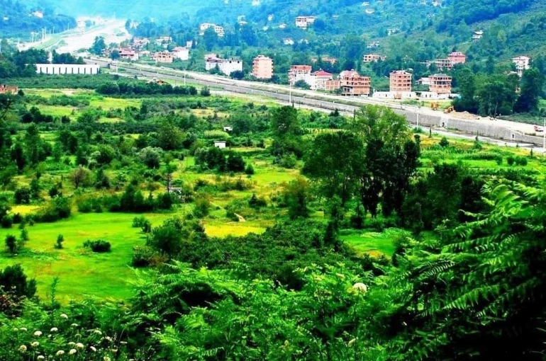 Öğretim Görevlisi Mehmet Akif Bal: "Karadere Vadisi acilen tarımsal üretim üssü haline getirilmeli" 