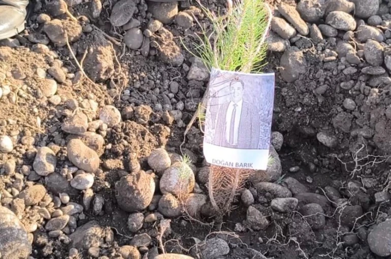 Öğretmenler, şehit ve depremde kaybedilen meslektaşları için fidan dikti 