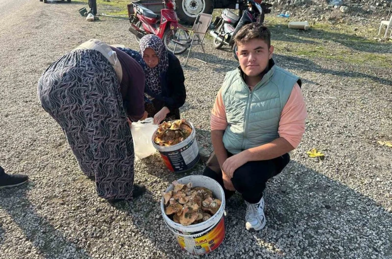 Okul harçlığını "kanlıca"dan çıkarıyor 