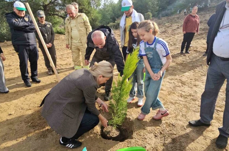 Önce öğrendiler sonra fidanları diktiler 
