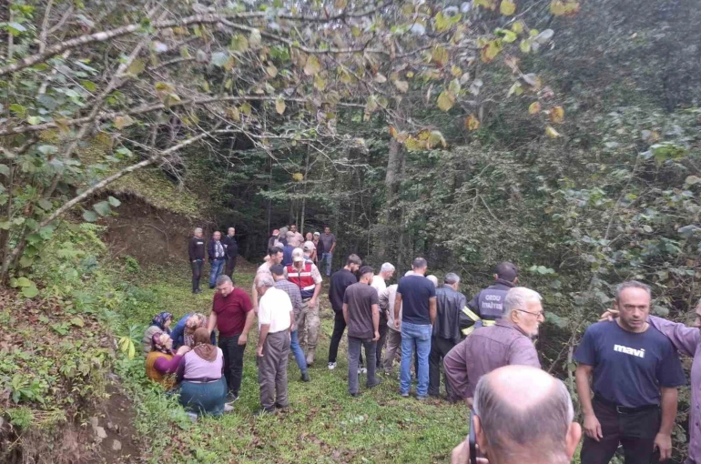 Ordu’da feci kaza: Uçuruma yuvarlanan patpatın altında can verdi 