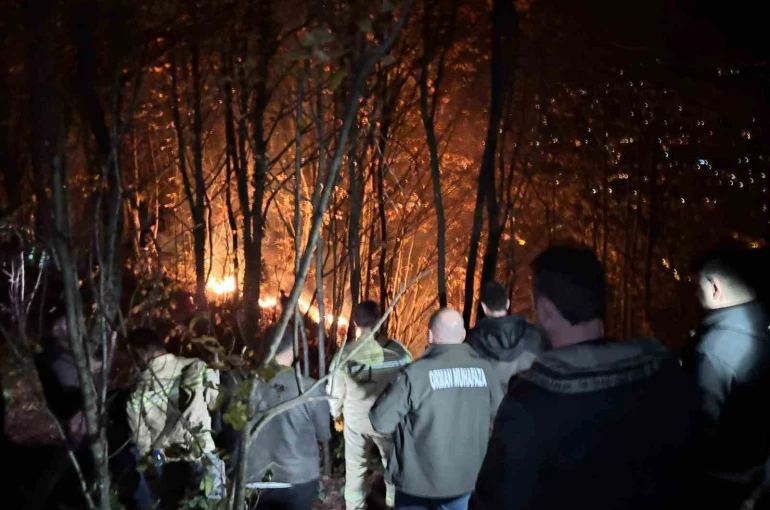 Ordu’da ormanlık alanda yangın 