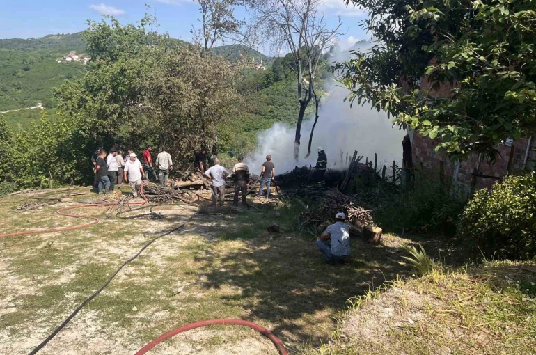 Ordu’da samanlık yangını 