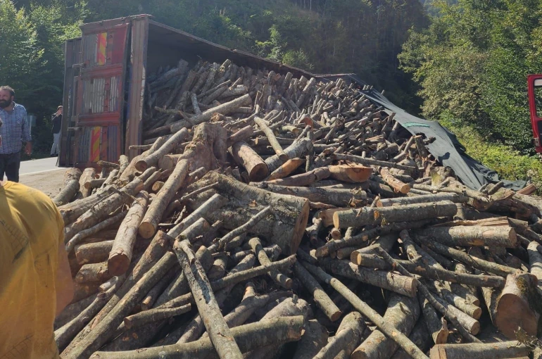 Ordu’da tomruk kamyonu devrildi: 21 ton tomruk yola saçıldı