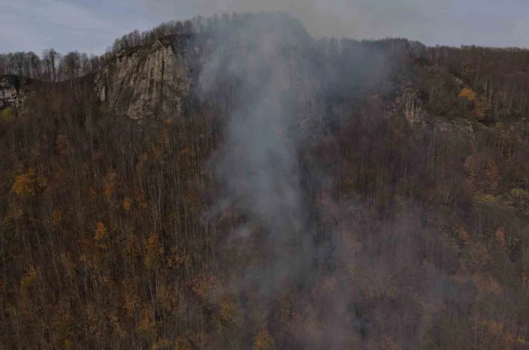 Ordu’daki ormanlık alandaki yangın kontrol altına alındı 