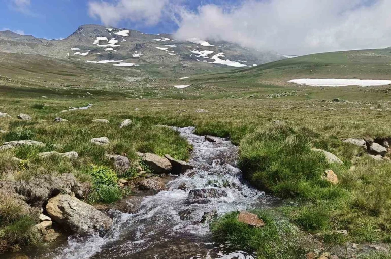 Ordu’nun yaylalarında yaz güzelliği