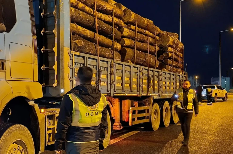 Orman denetimleri sürdürülüyor 