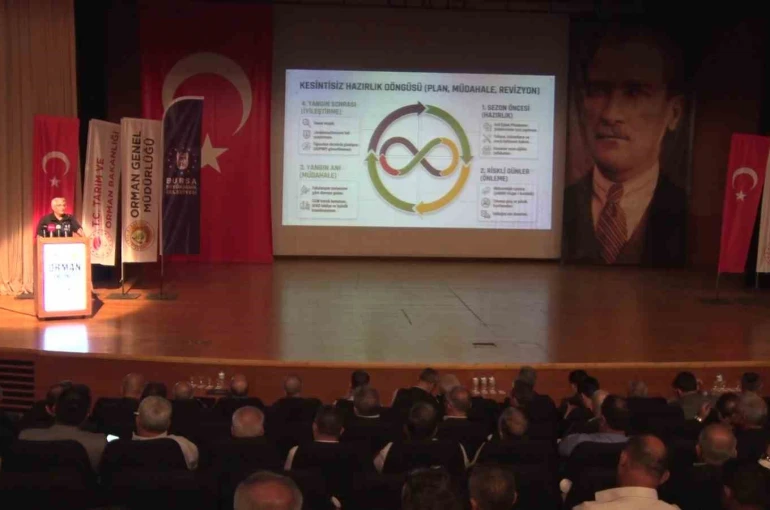 Orman Genel Müdürü Karacabey: "Yangınların büyük bölümü insan kaynaklı çıkıyor" 