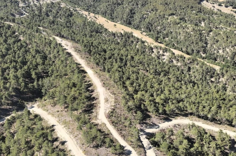 Orman köylülerine endüstriyel odundan 1 milyar TL’lik katkı