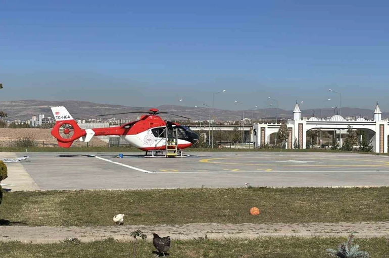 Ormanda ayı saldırısına uğradı, tedavi altına alındı