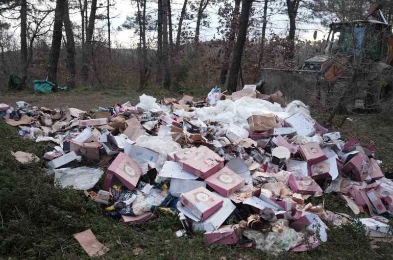 Ormanı çöplüğü çevirmişler