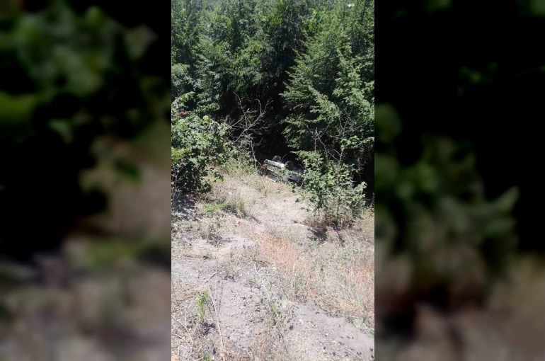 Ormanlık alana uçan otomobildeki 3 kişi yaralandı 