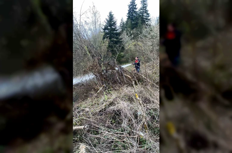 Ormanlık alanda çıkan yangın büyümeden söndürüldü 