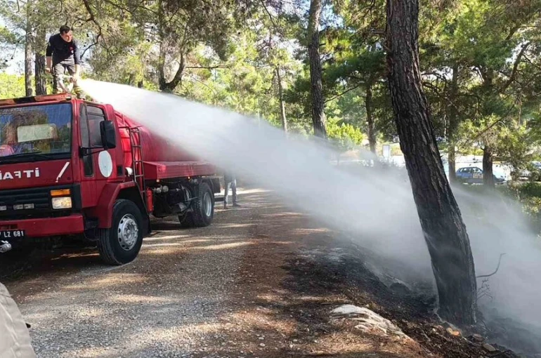 Ormanlık alanda çıkan yangını vatandaşlar söndürdü 