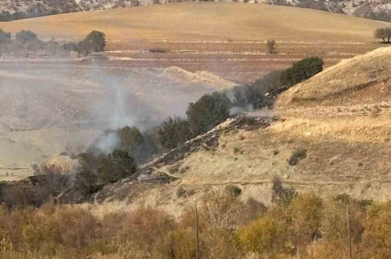 Ormanlık alanda korkutan yangın 