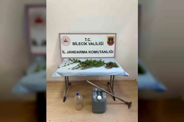 Ormanlık arazide kenevir ekimi yapan şahıs ektikleri sularken yakalandı 