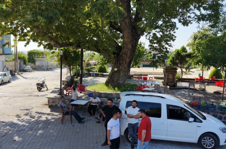 Osmaniye’de 260 yıllık çınar yaz sıcağında doğal klima oluyor