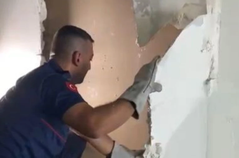 Osmaniye’de duvara sıkışan yavru kedi itfaiye tarafından kurtarıldı 