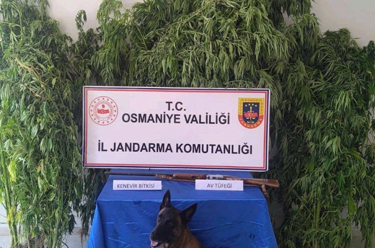 Osmaniye’de jandarma bir haftada 128 şüpheli yakaladı