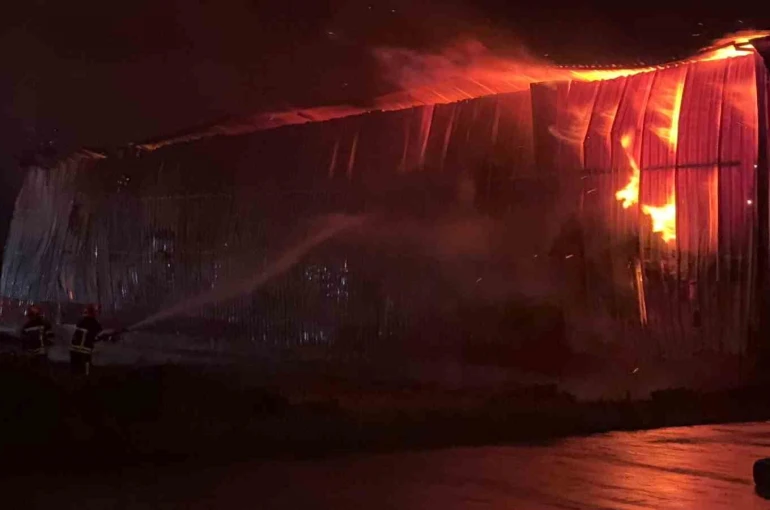 Osmaniye’de karton fabrikasında yangın 