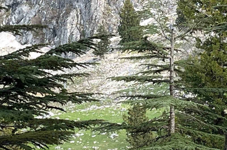 Osmaniye’de kayalıklardan düşen adam hayatını kaybetti 