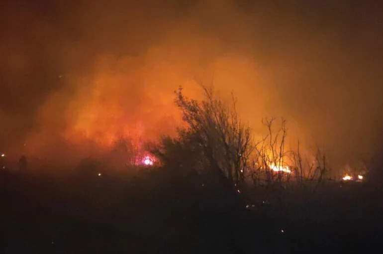 Osmaniye’de makilik yangını söndürüldü