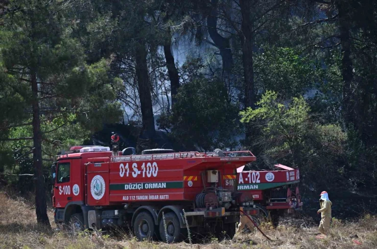 Osmaniye’de orman yangını kontrol altına alındı, soğutma çalışmaları sürüyor