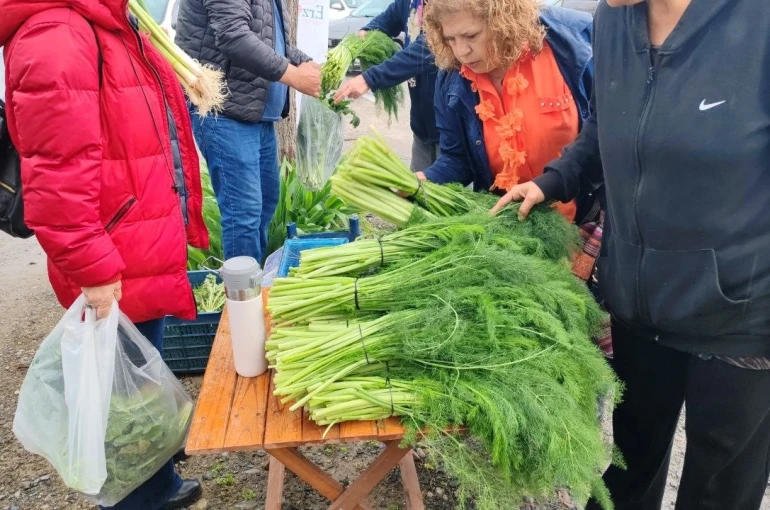 Ot festivali şiddetli yağışla yarıda kaldı 