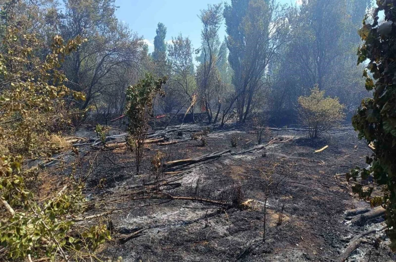 Ot yangını paniğe neden oldu