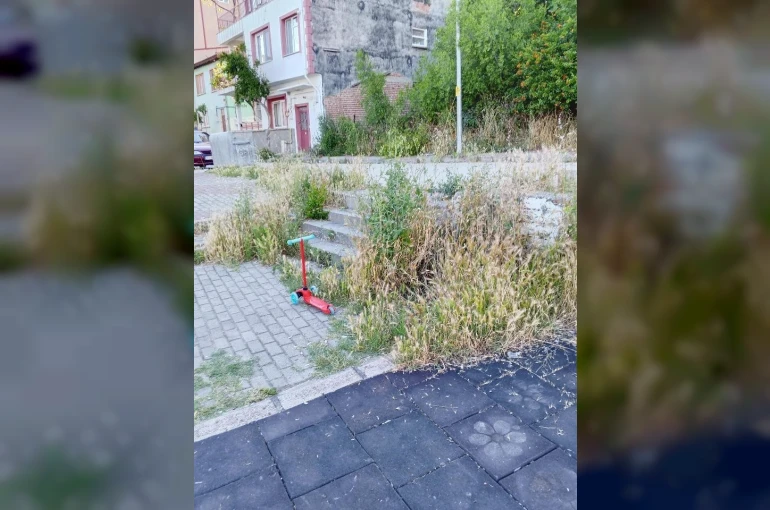 Otluk alana dönen bu park bakım ve temizlik bekliyor