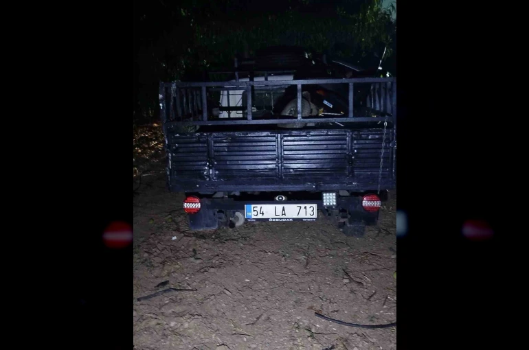 Otomobil ağaca çarptı: 2 yaralı