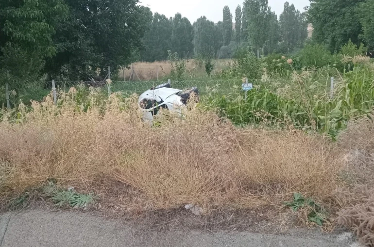 Otomobil mısır ekili araziye devrildi: 2 yaralı 