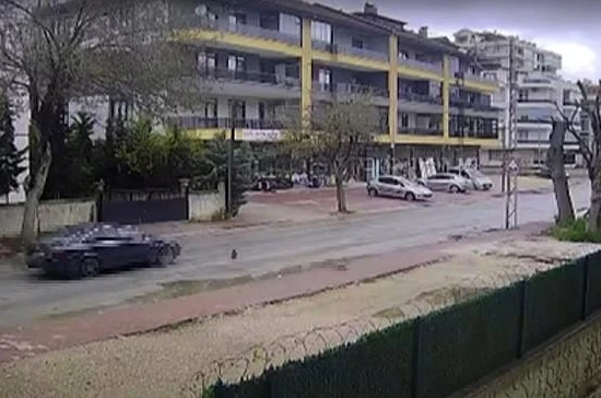 Otomobilin çarpmasıyla ölen kedinin yavrusu başından ayrılmadı