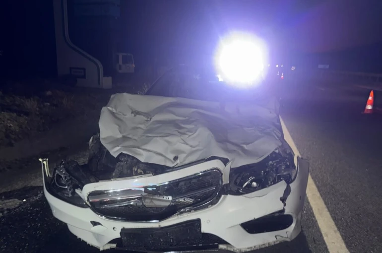 Otomobilin çarptığı 3 inek telef oldu