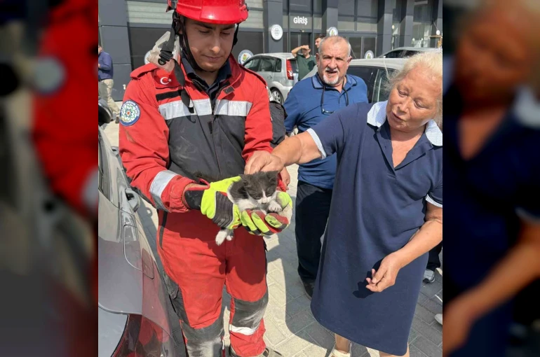 Otomobilin motor bölümüne sıkışan kedi kurtarıldı