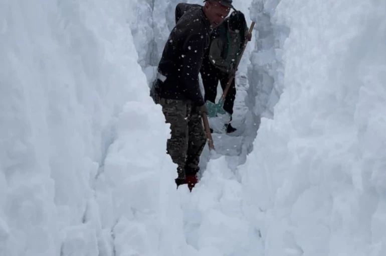 Ovacık’ta besicilerin zorlu kış mesaisi: Hayvanları suya götürmek için metrelerce kalınlıktaki karı kürekle temizlediler 