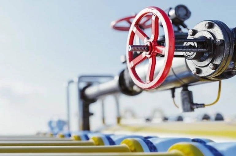 PALEN, kış ortasında dondurdu 