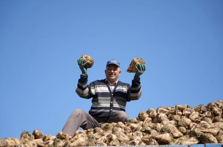 Pancar üretiminde düşüş şeker arzında sorun oluşturmayacak 