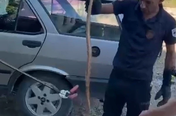 Park halindeki otomobile giren yılan paniğe neden oldu 