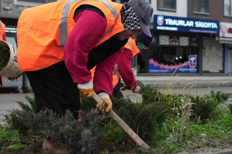 Park ve yeşil alanlarda peyzaj çalışmaları sürüyor 