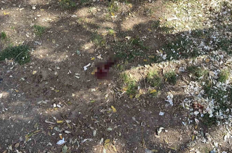 Parkta bir kişiyi döner bıçağıyla yaralayan saldırgan yakalandı 