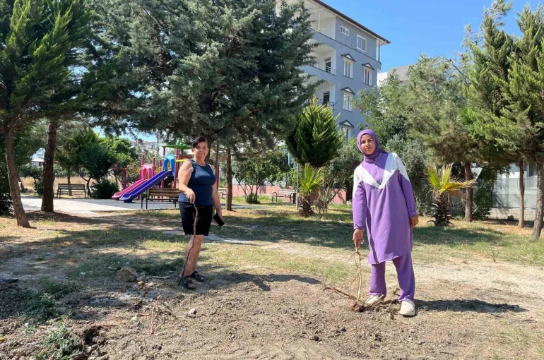 Parktaki ağaçların sökülmesine vatandaşlardan tepki 