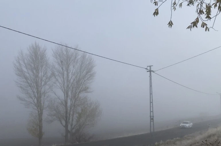 Patnos’ta yoğun sis yaşamı olumsuz etkiledi 