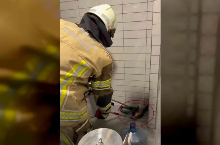 Petrol istasyonuna giren 2,5 metre uzunluğunda yılan yakalandı