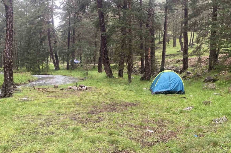 Piknik yaptıkları alana yıldırım düştü: 1’i ağır 3 yaralı 