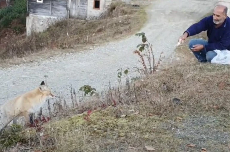 Pimbilona Yaylası’nda sıra dışı dostluk 