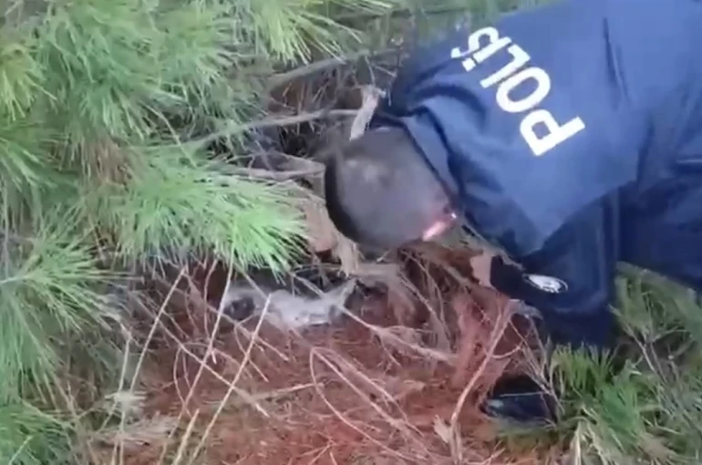 Polis kaçak avcılık tuzağı ele geçirdi 