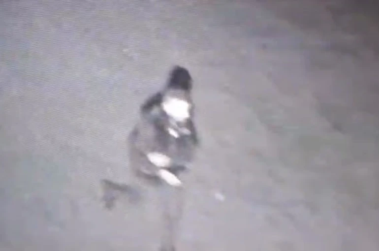 Polis kılığına girip 3 milyonluk vurgun yaptılar