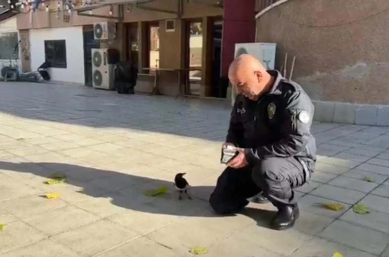 Polis memuru ile saka kuşunun dostluğu görenleri hayrete düşürdü 